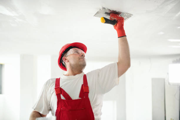 Mold Documentation for Insurance Claims in Braddock, VA